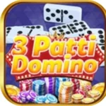 3 Patti Domino Game