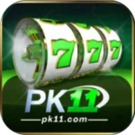 PK11 Game