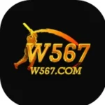 W567 Game